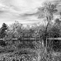 Along The Shore - Near And Far