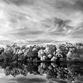 New Horseshoe Lake Sky