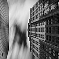 Reflections of Niels Esperson