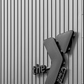the y